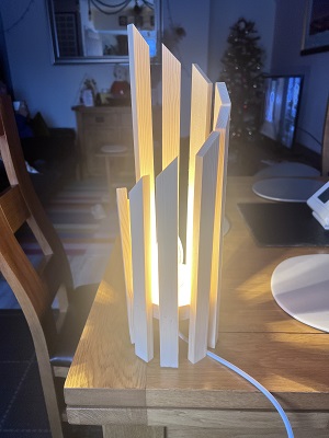 Xmas Tree Other View